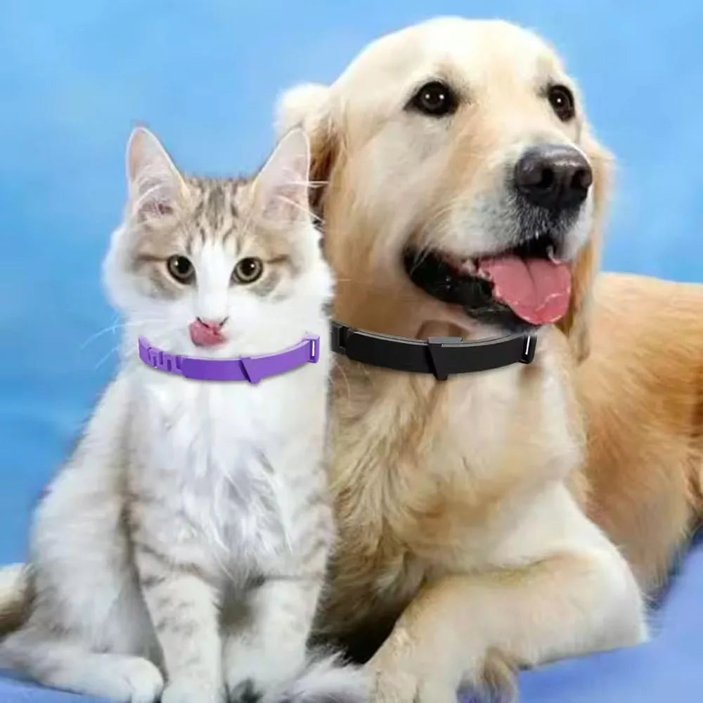 Verstellbares Kunststoff-Halsband für Hunde – Wasserdichtes Haustier-Halsband für Hunde und Katzen – Für kleine, mittelgroße und große Tiere