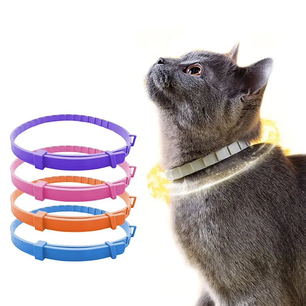 Verstellbares Kunststoff-Halsband für Hunde – Wasserdichtes Haustier-Halsband für Hunde und Katzen – Für kleine, mittelgroße und große Tiere