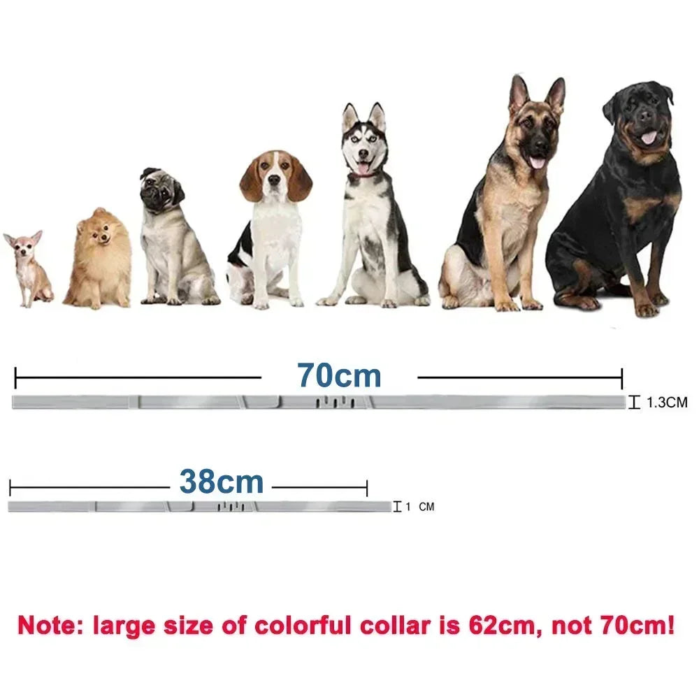 Verstellbares Kunststoff-Halsband für Hunde – Wasserdichtes Haustier-Halsband für Hunde und Katzen – Für kleine, mittelgroße und große Tiere